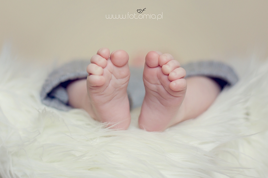 www.fotomia.pl